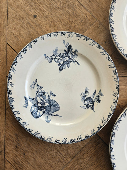 Assiettes à dessert U&C Sarreguemines, Stella #2