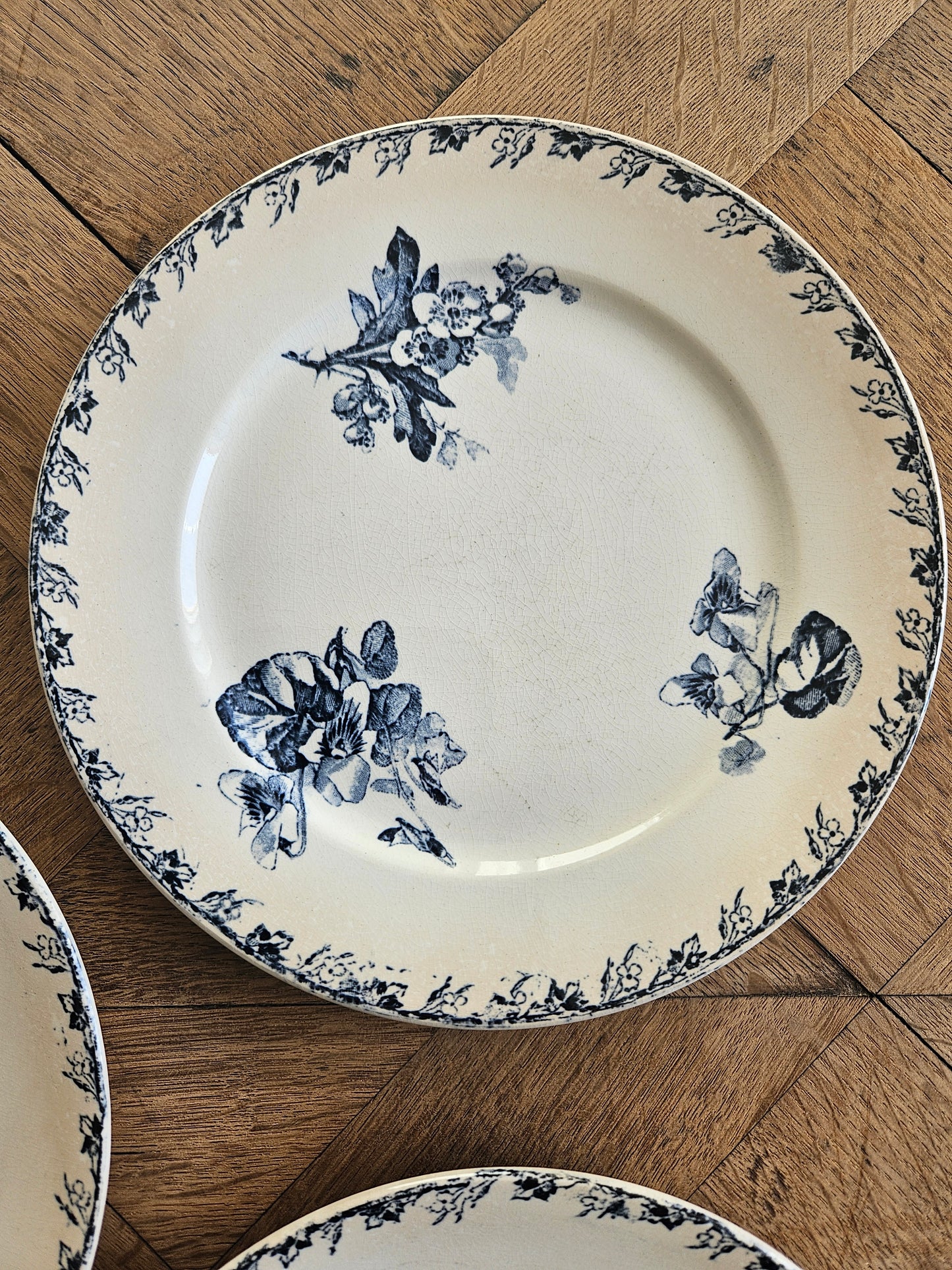 Assiettes à dessert U&C Sarreguemines, Stella #2