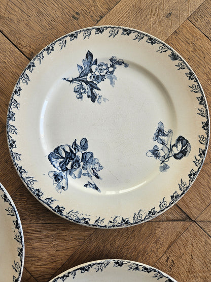 Assiettes à dessert U&C Sarreguemines, Stella #2