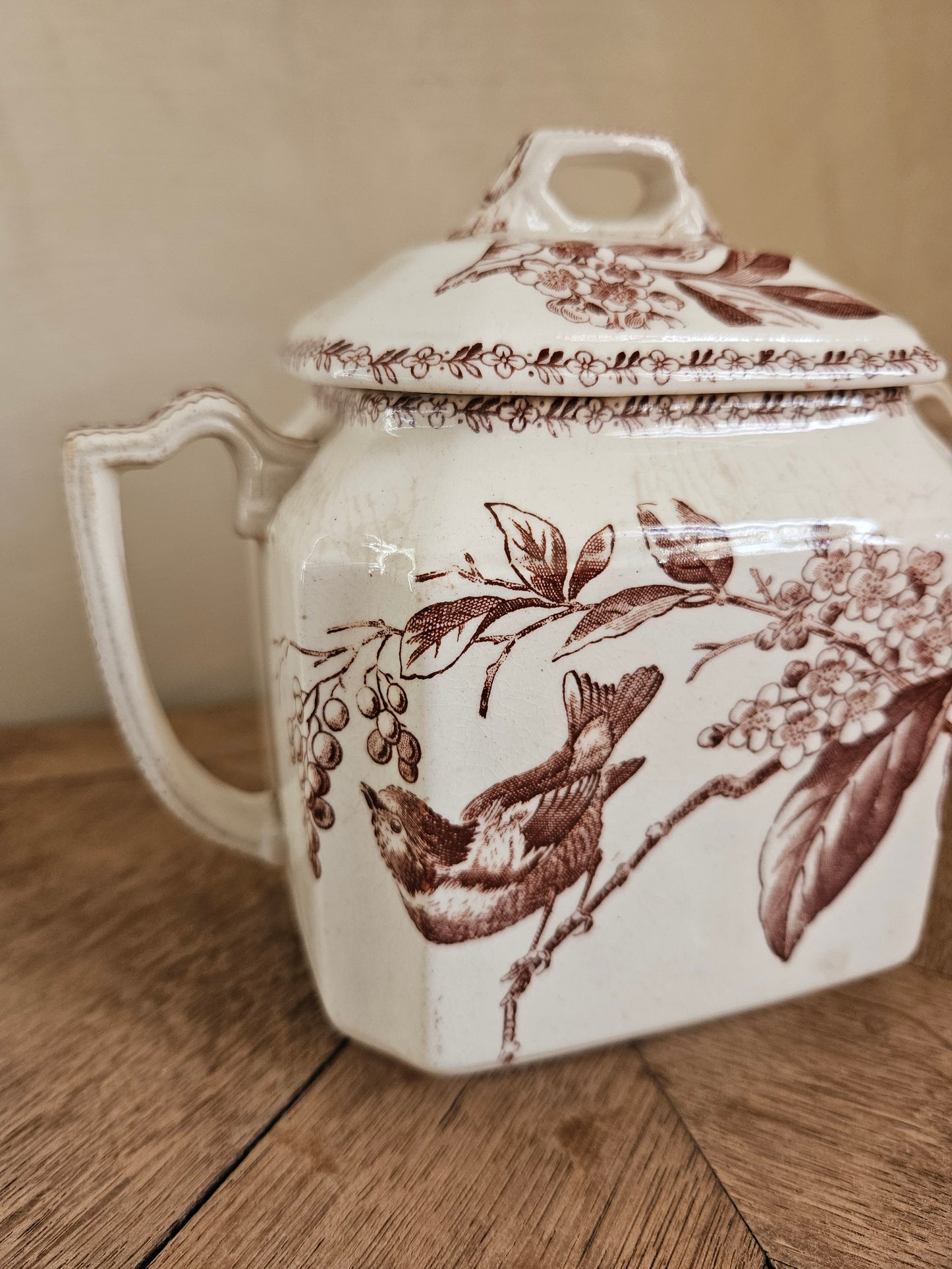 Sucrier ancien oiseaux et fleurs, sépia