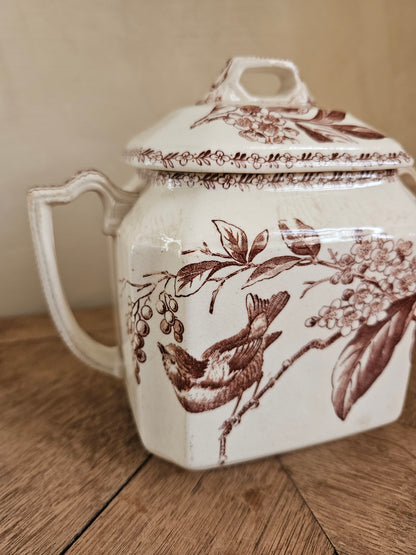 Sucrier ancien oiseaux et fleurs, sépia