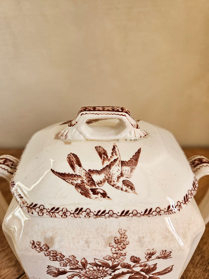 Sucrier ancien oiseaux et fleurs, sépia