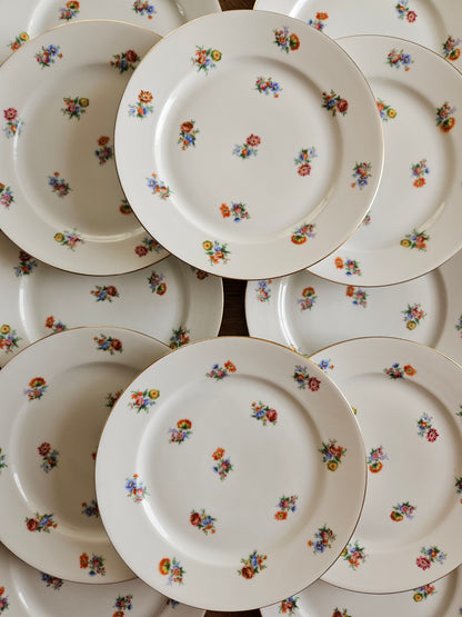 Service à dessert porcelaine de Limoges, fleuri