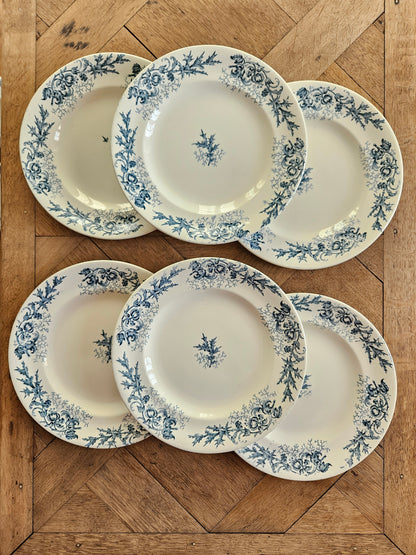 Assiettes plates Longwy, Cyrano
