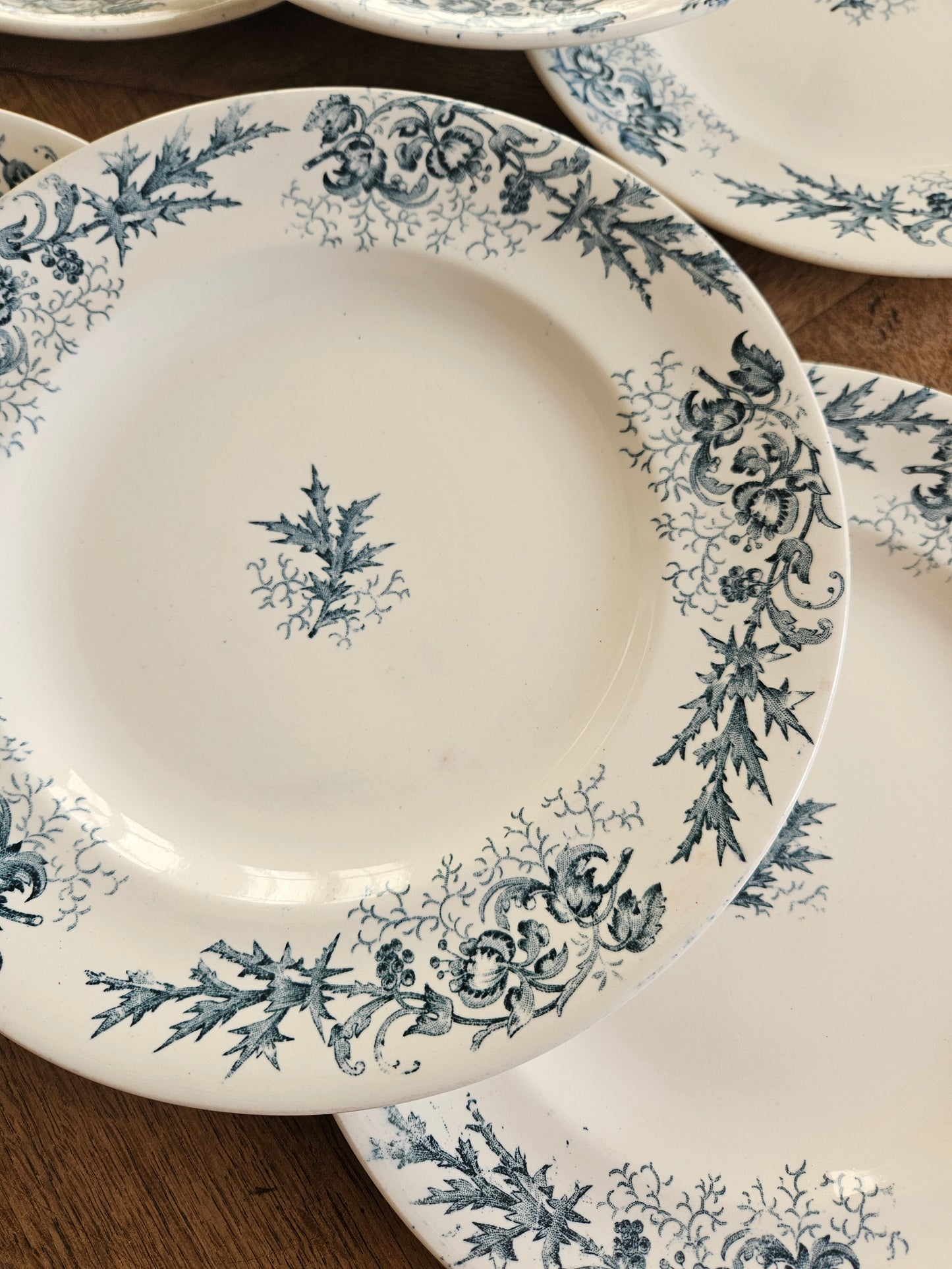 Assiettes plates Longwy, Cyrano