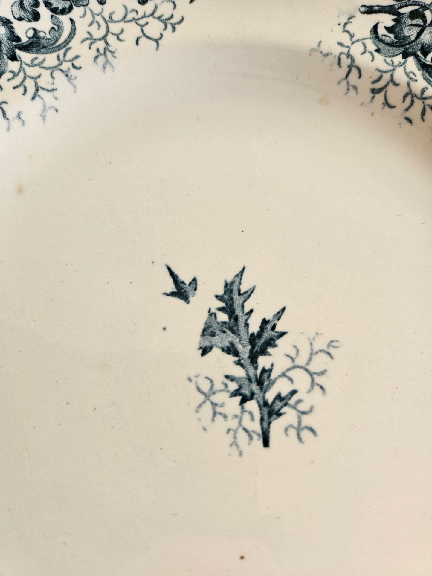 Assiettes plates Longwy, Cyrano