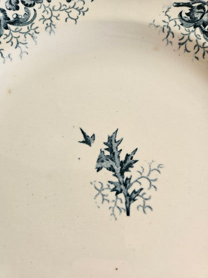 Assiettes plates Longwy, Cyrano