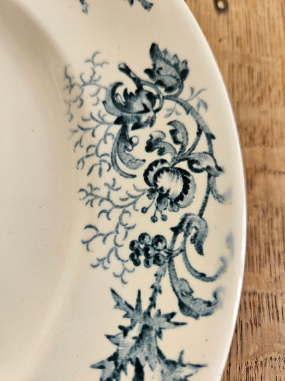 Assiettes plates Longwy, Cyrano