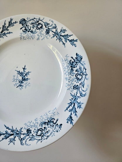 Assiettes plates Longwy, Cyrano