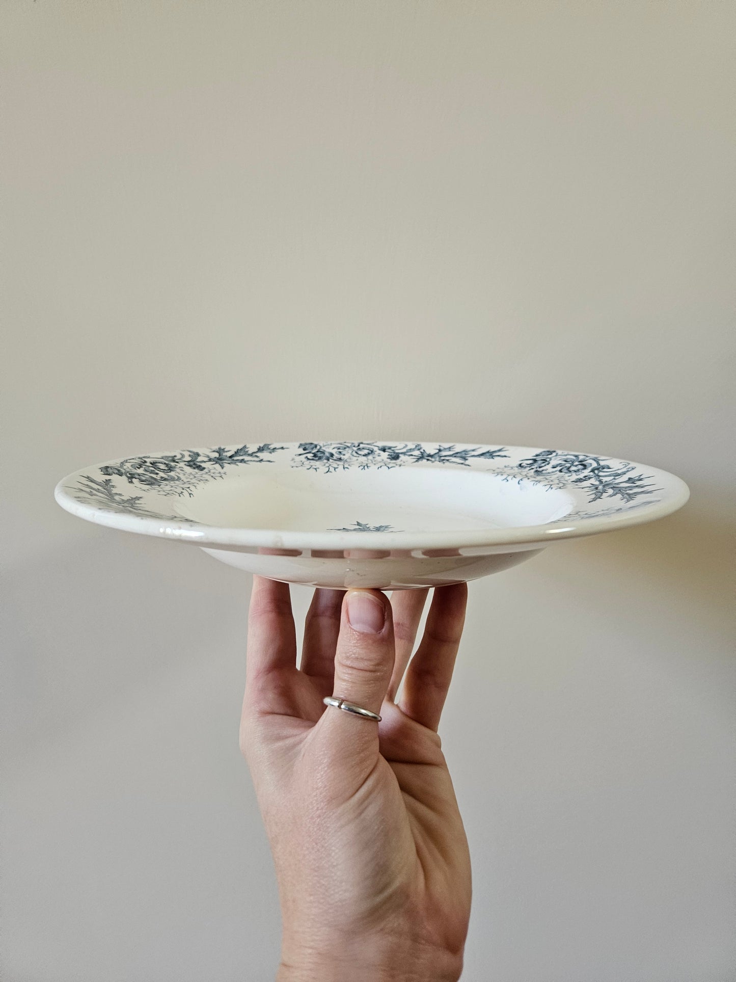 Assiettes creuses Longwy, Cyrano