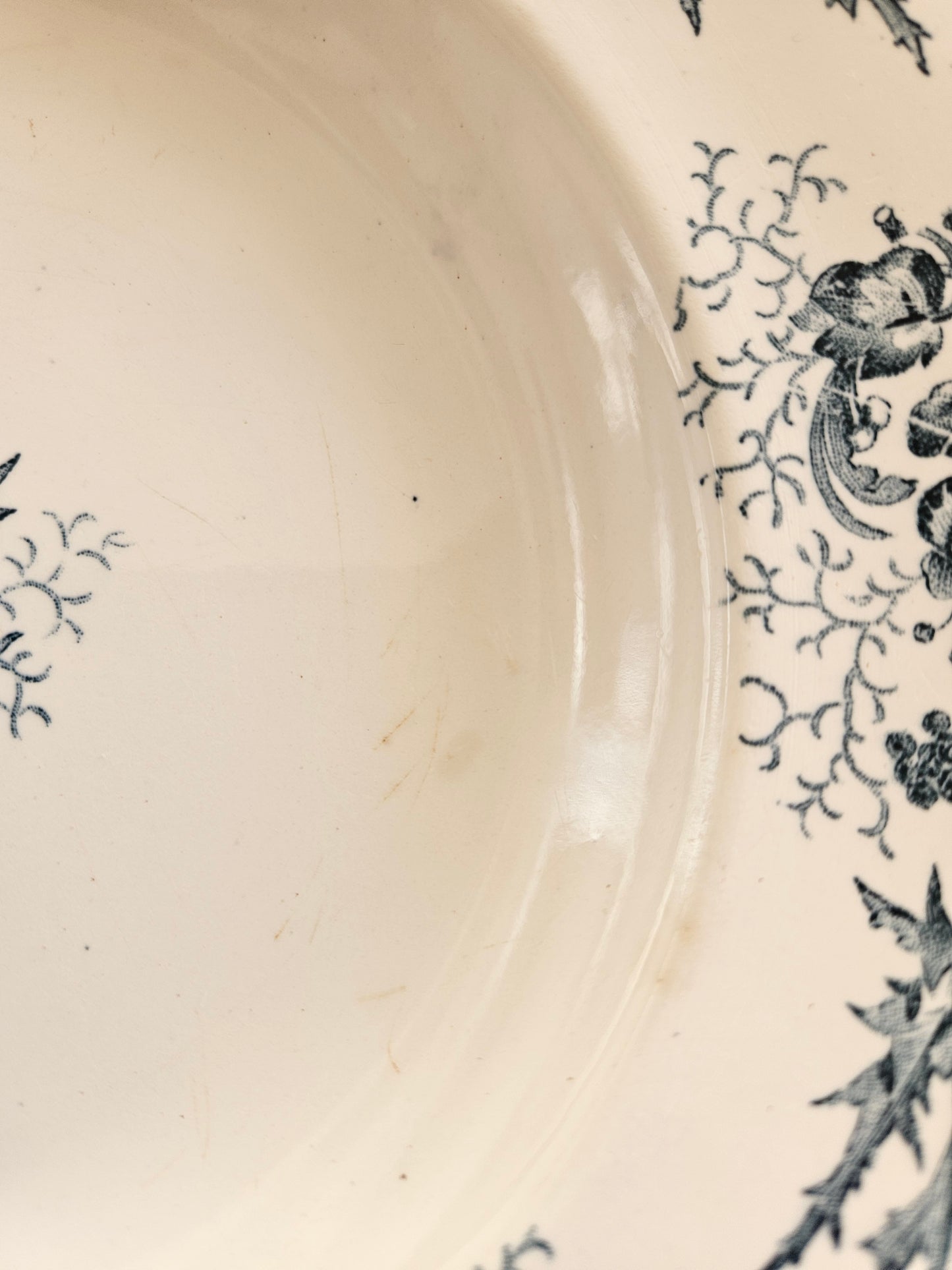 Assiettes creuses Longwy, Cyrano