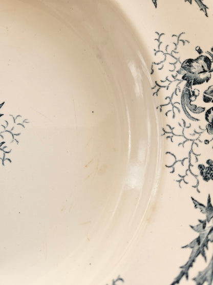 Assiettes creuses Longwy, Cyrano