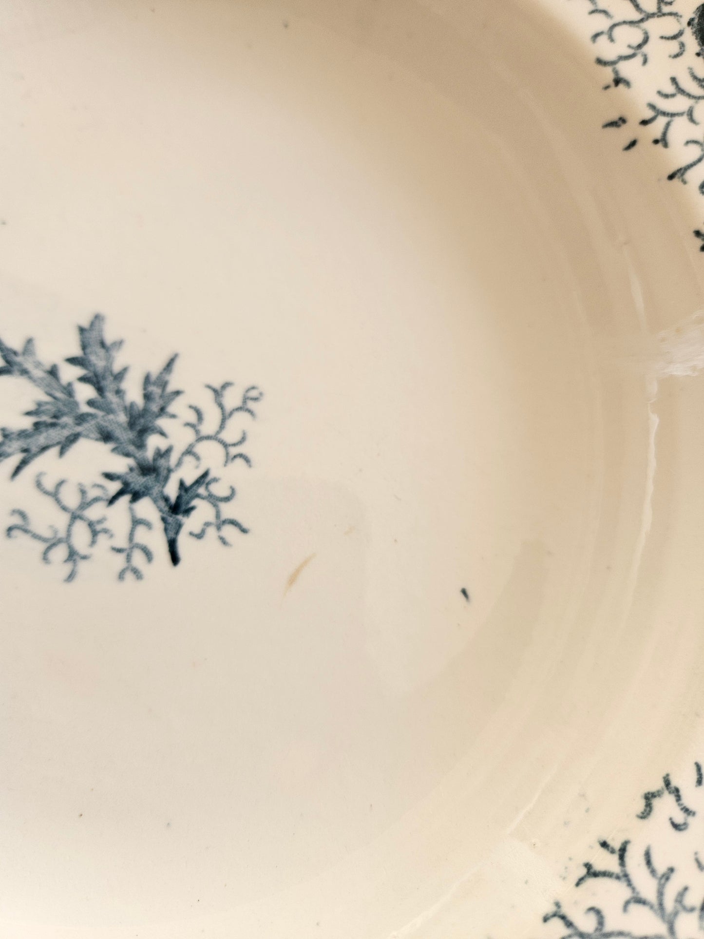 Assiettes creuses Longwy, Cyrano