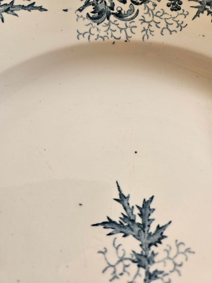 Plat rond Longwy, Cyrano #1