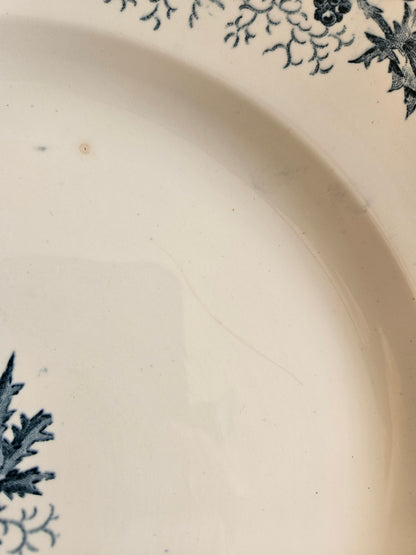 Plat rond Longwy, Cyrano #2