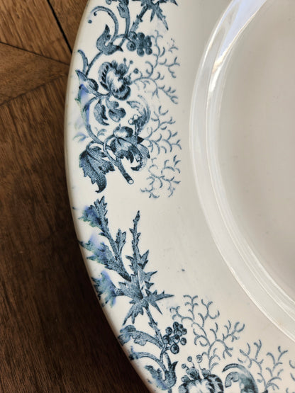 Plat rond Longwy, Cyrano #2