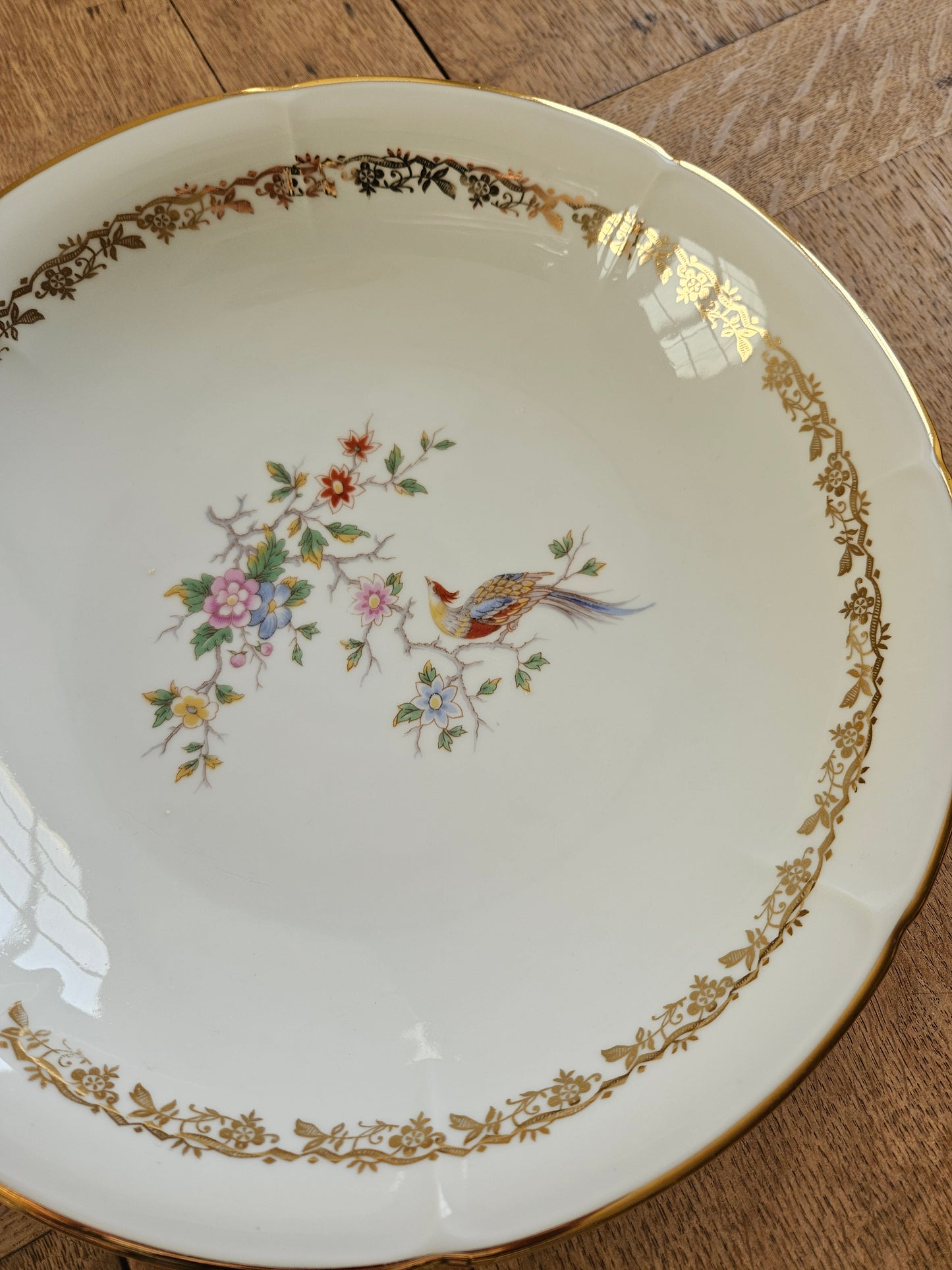 Plat creux porcelaine Oiseau