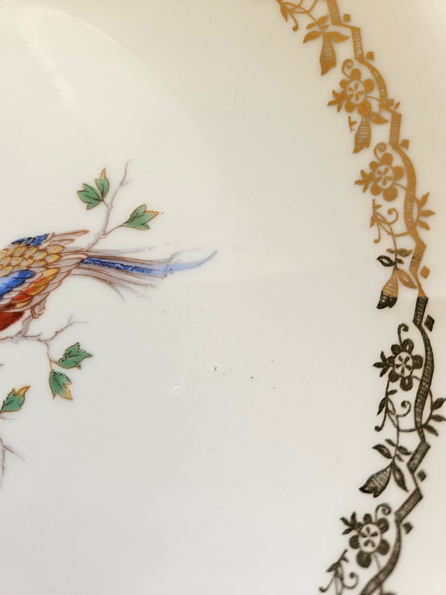 Plat rond porcelaine Oiseau