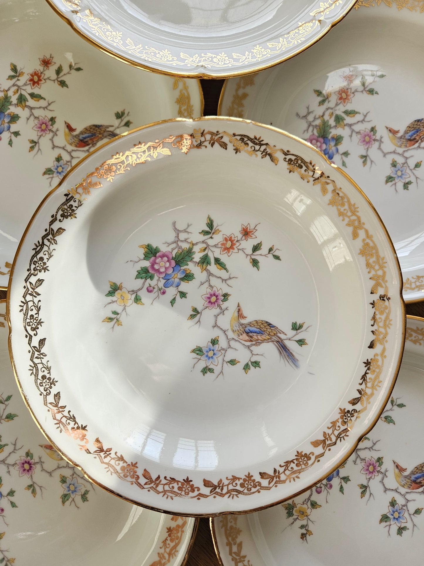 Assiettes creuses porcelaine Oiseau