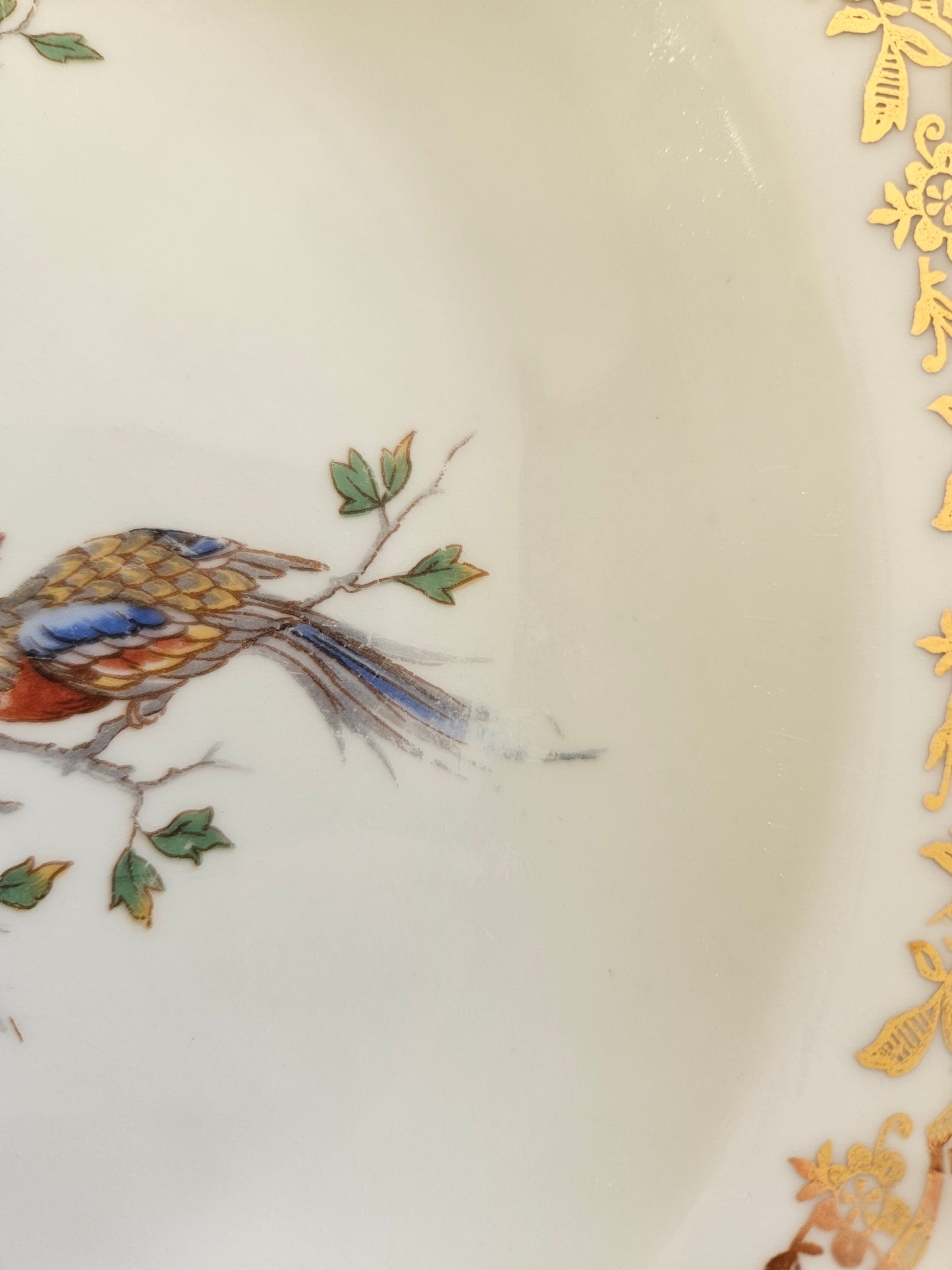Assiettes creuses porcelaine Oiseau