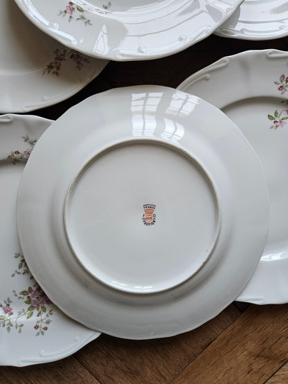 Assiettes plates vintage porcelaine, fleurs
