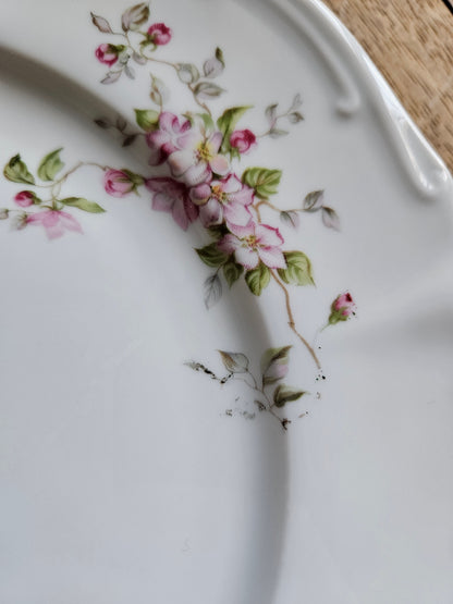Assiettes plates vintage porcelaine, fleurs