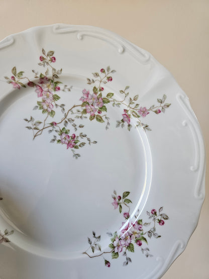 Assiettes plates vintage porcelaine, fleurs