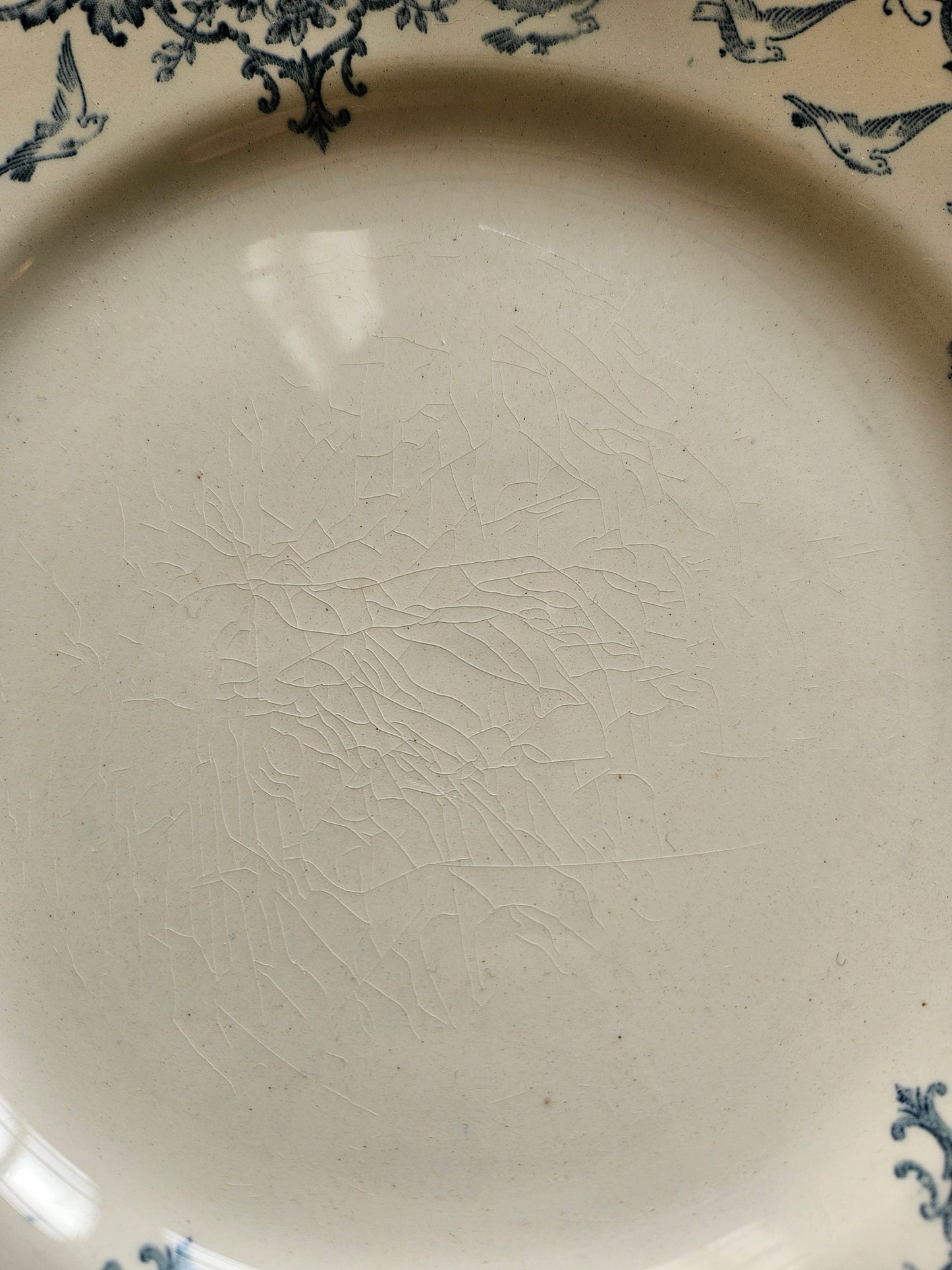 Assiettes plates anciennes dépareillées Terre de Fer