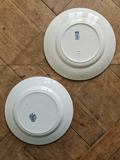 Assiettes plates anciennes dépareillées Terre de Fer