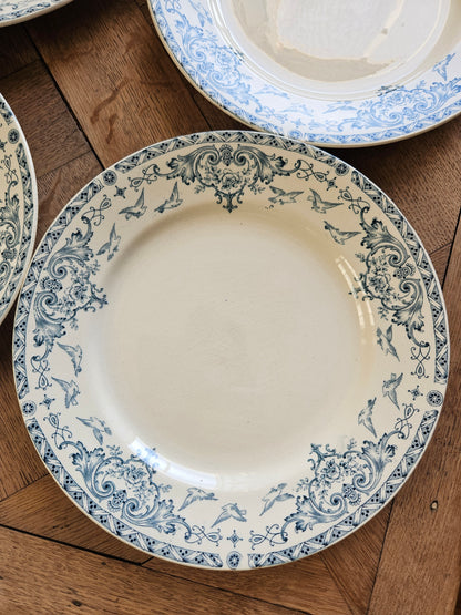Assiettes plates K&G Lunéville, Colombes