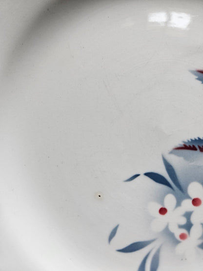 Assiettes plates rétro dépareillées, Digoin & Badonviller #2