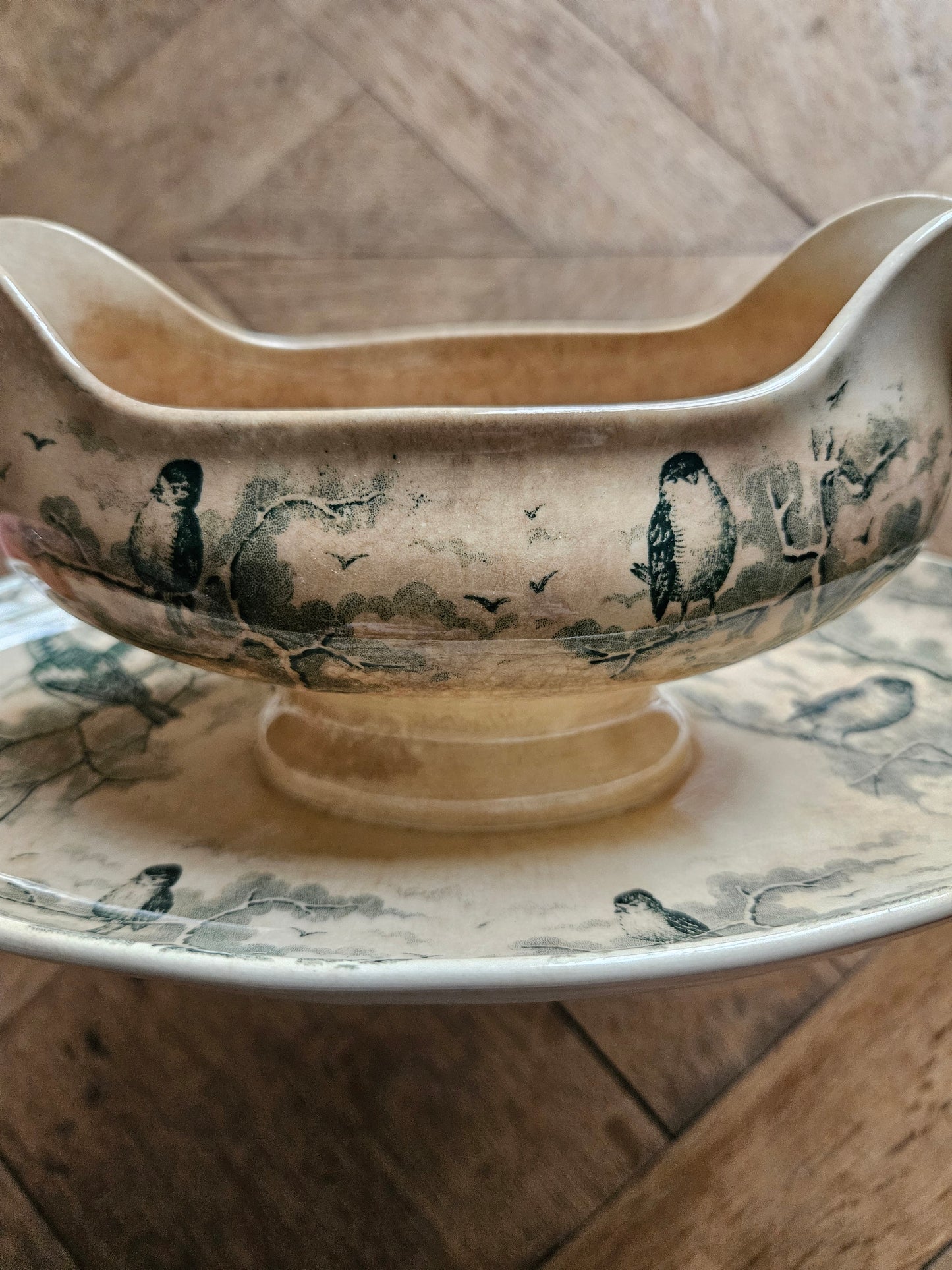 Saucière ancienne Sarreguemines, Neige