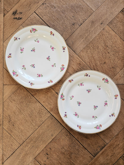 Assiettes dépareillées