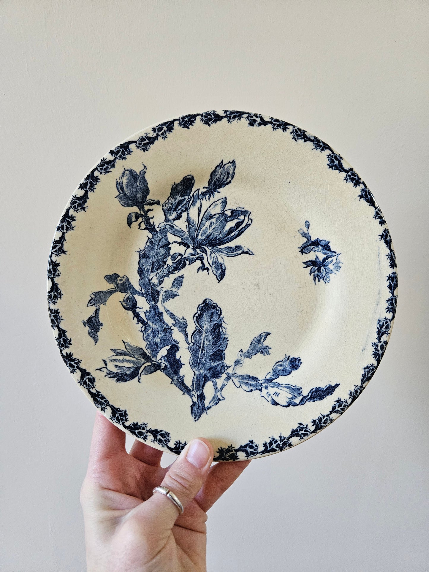 Assiette plate Gien, Cactus