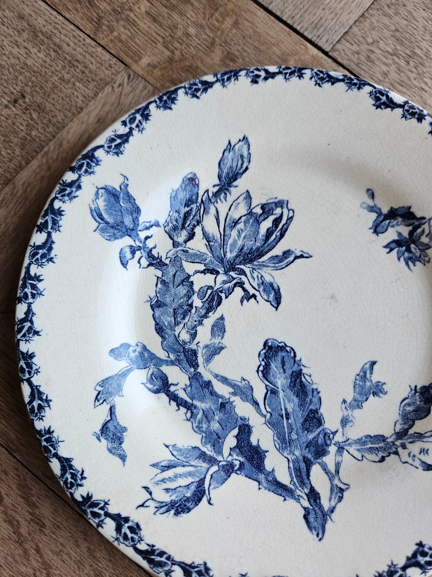 Assiette plate Gien, Cactus