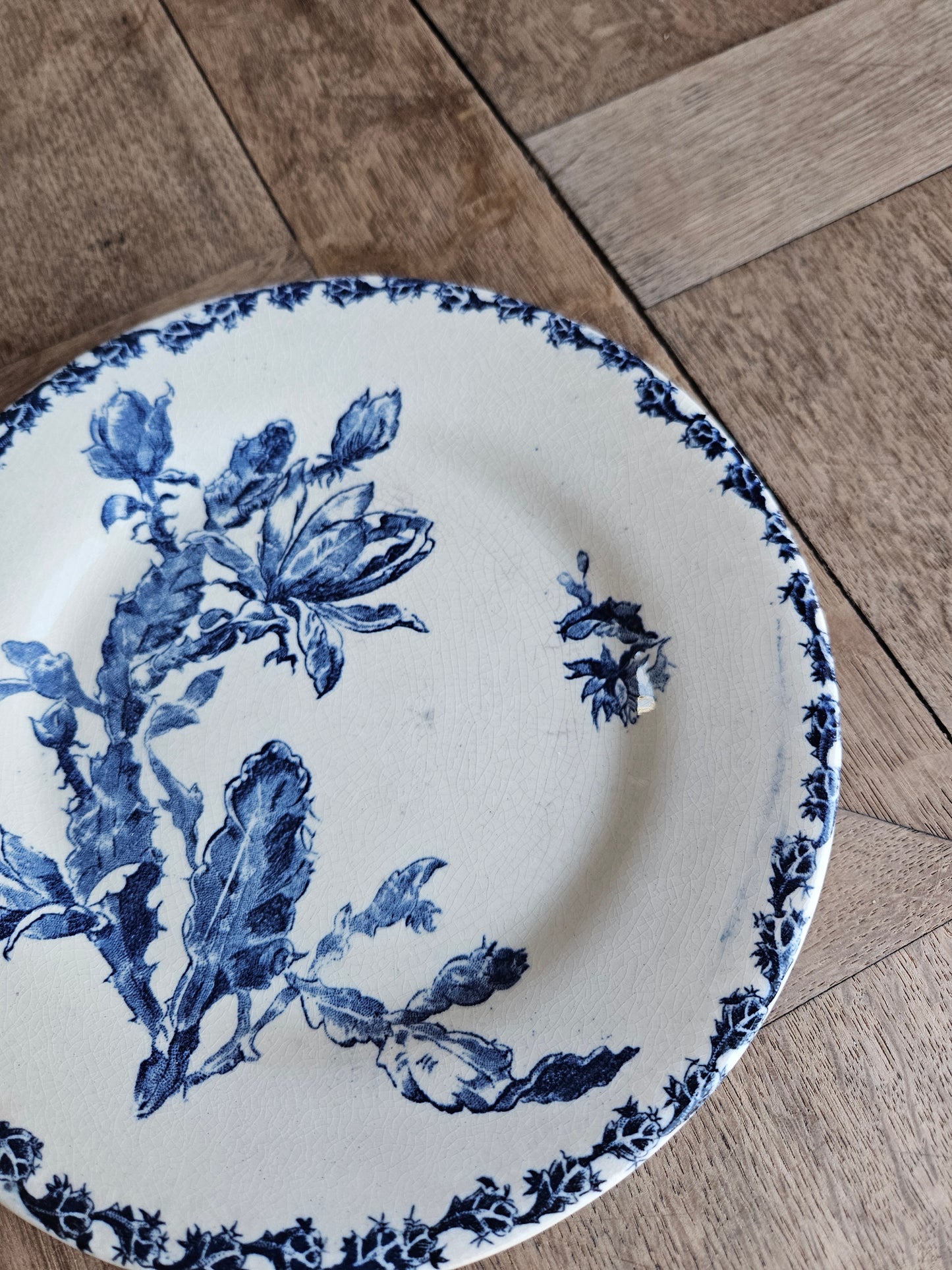 Assiette plate Gien, Cactus