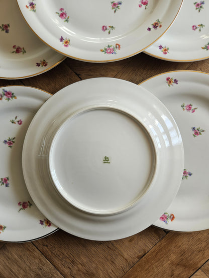 Assiettes plates vintage en porcelaine, petites fleurs