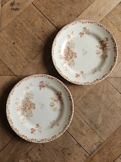 Assiettes plates HB & Cie, Lucie #2