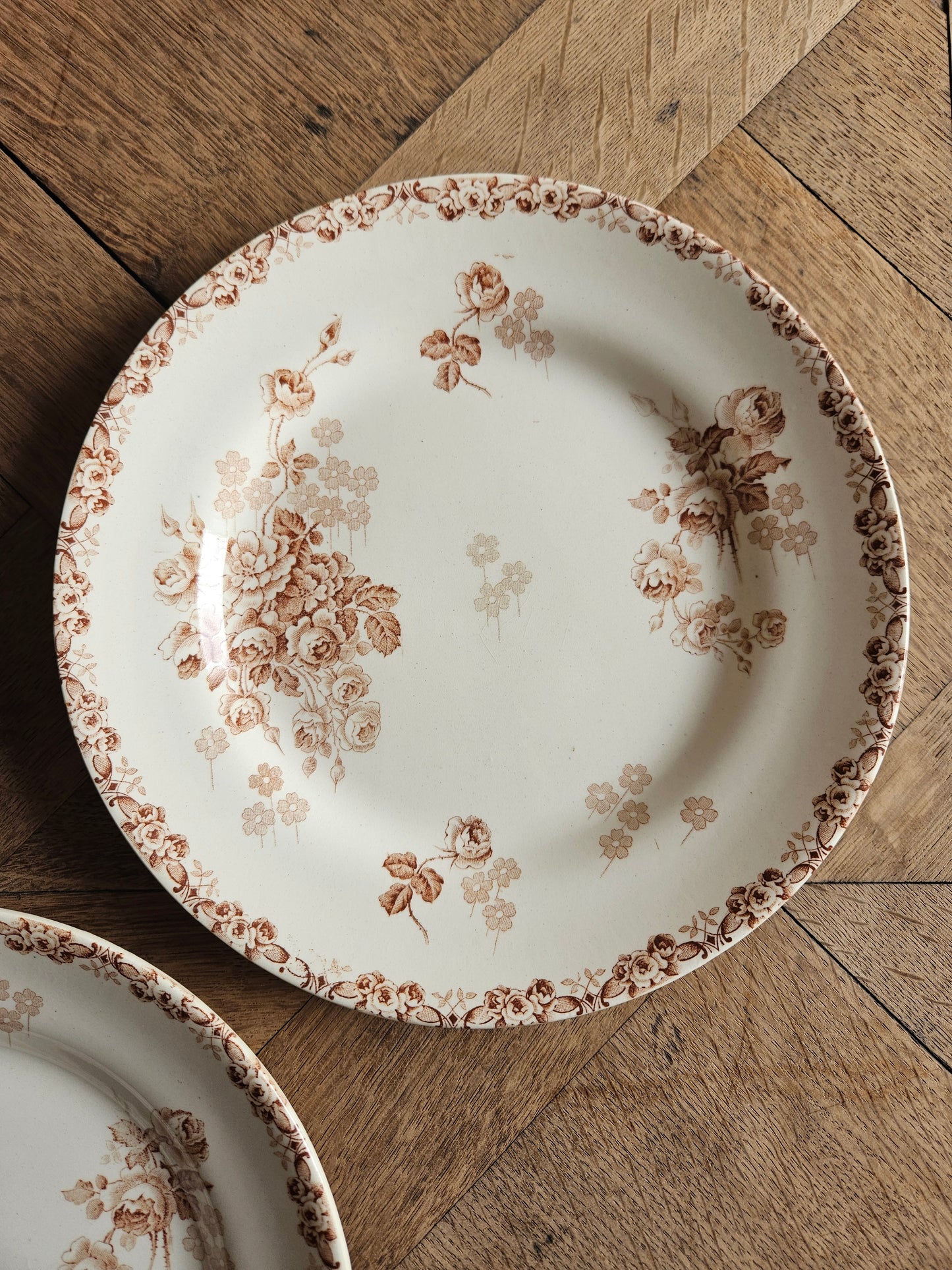 Assiettes plates HB & Cie, Lucie #2