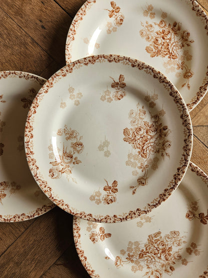 Assiettes plates HB & Cie, Lucie #1