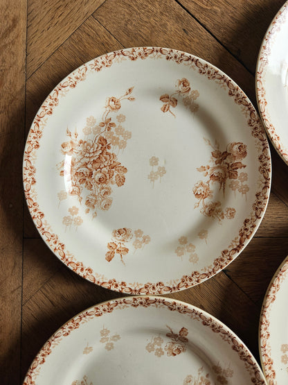 Assiettes plates HB & Cie, Lucie #1