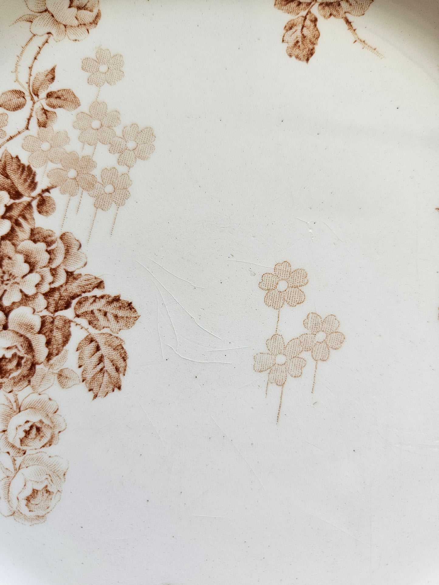 Assiettes plates HB & Cie, Lucie #1