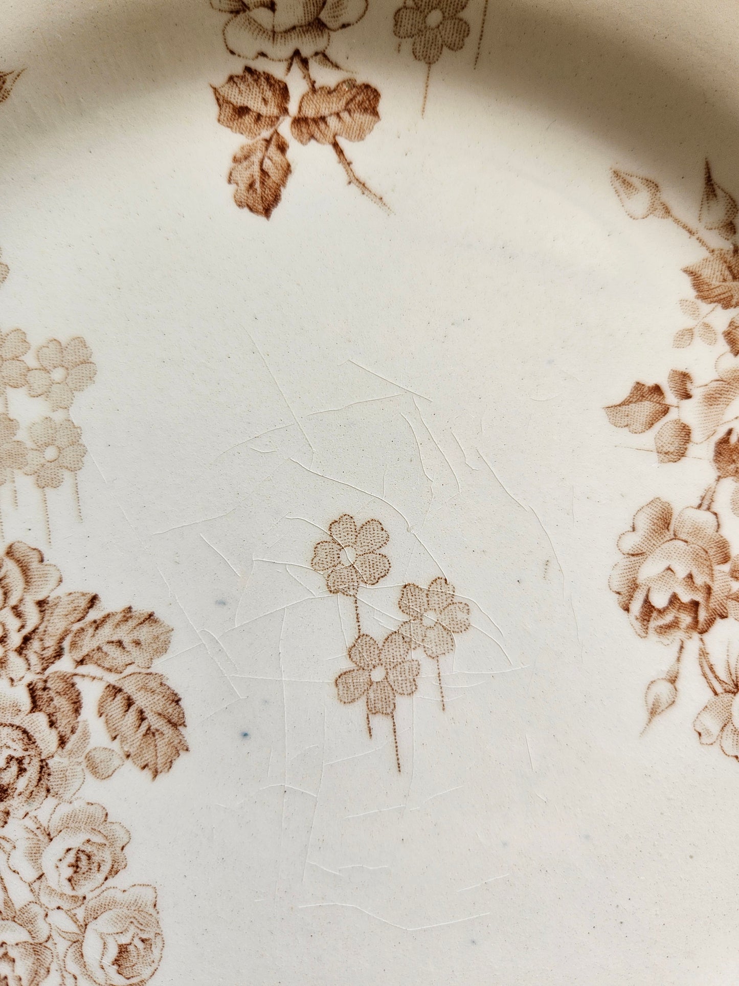 Assiettes plates HB & Cie, Lucie #1