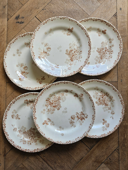 Assiettes plates HB & Cie, Lucie #2