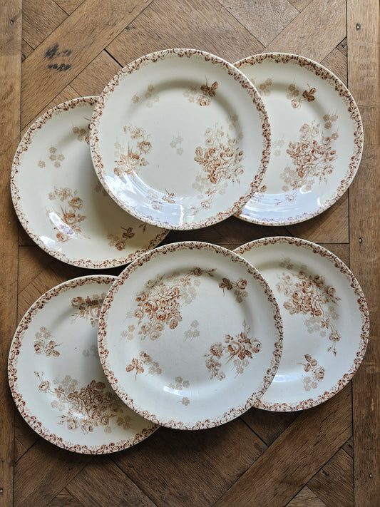 Assiettes plates HB & Cie, Lucie #2