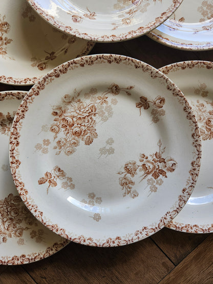 Assiettes plates HB & Cie, Lucie #2