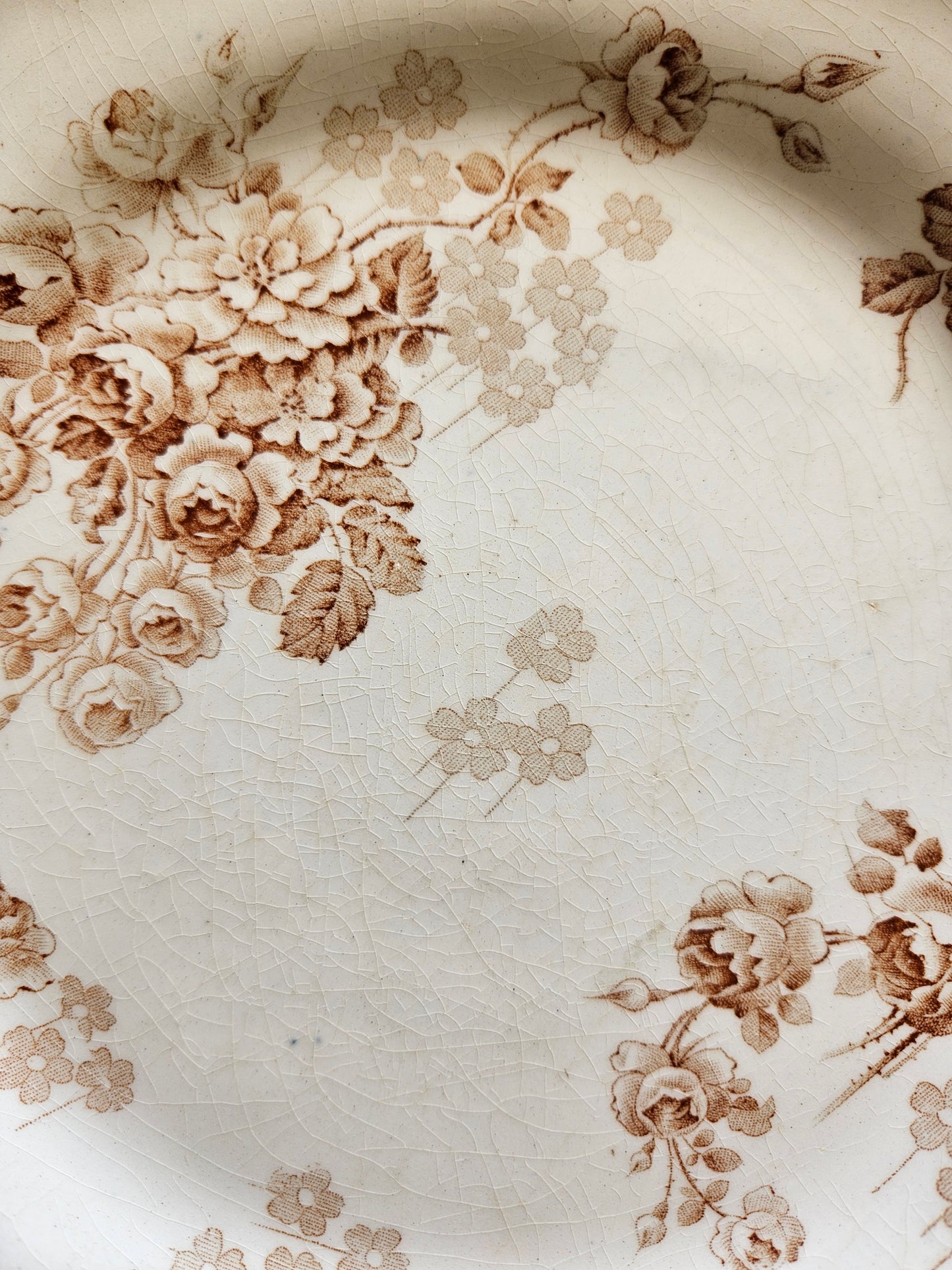 Assiettes plates HB & Cie, Lucie #2