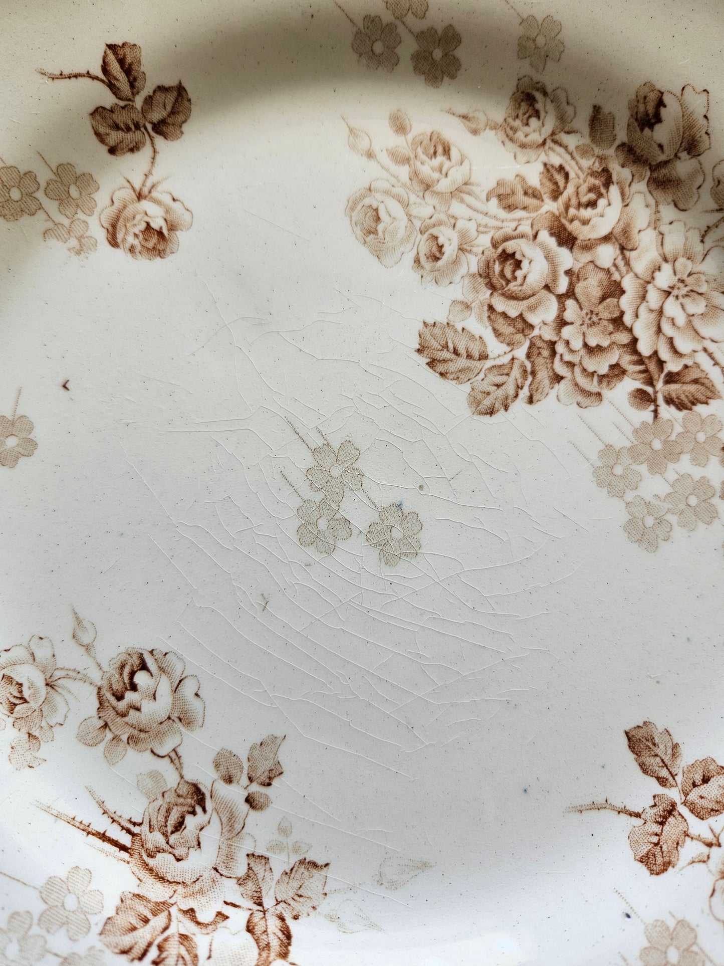 Assiettes plates HB & Cie, Lucie #2