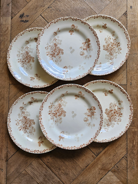 Assiettes plates HB & Cie, Lucie #3