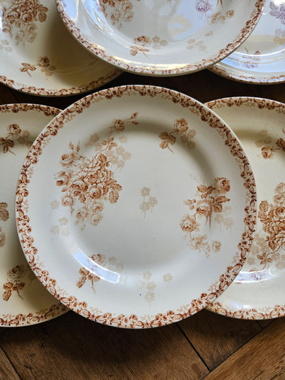 Assiettes plates HB & Cie, Lucie #3